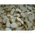 /msite/products/detail/productid/57655395/id/676485.html